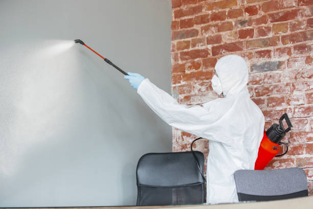 Best Real Estate Mold Inspection  in Waverly, NY