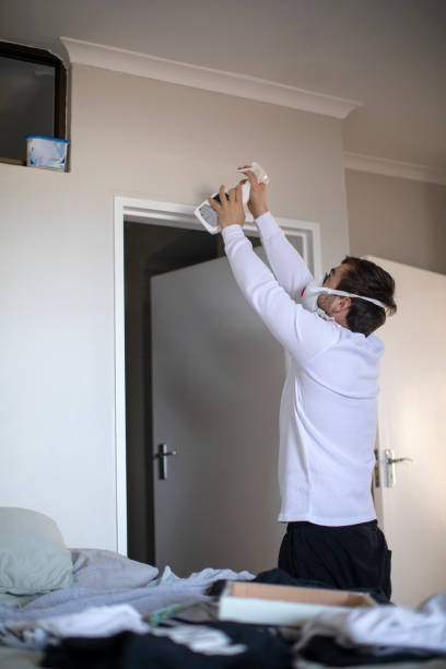 Best Attic Mold Removal  in Waverly, NY