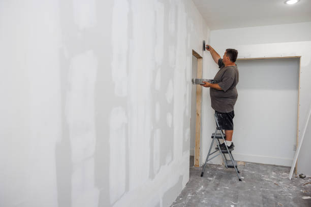 Best Emergency Mold Remediation  in Waverly, NY
