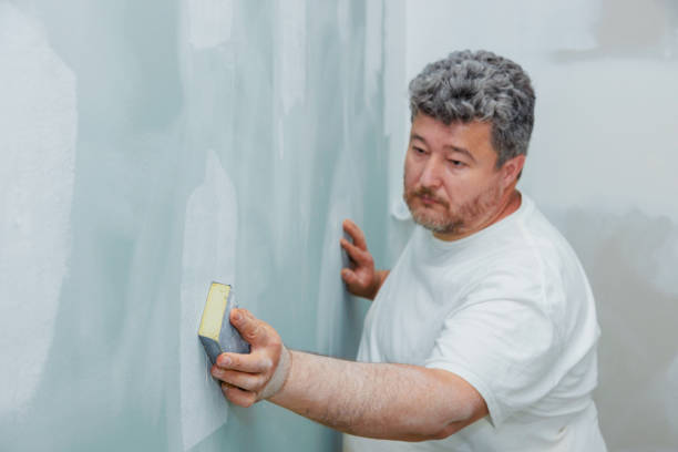 Best Mold Remediation for Healthcare Facilities  in Waverly, NY