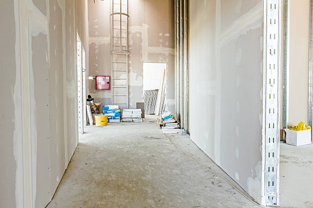 Best Mold Damage Restoration  in Waverly, NY