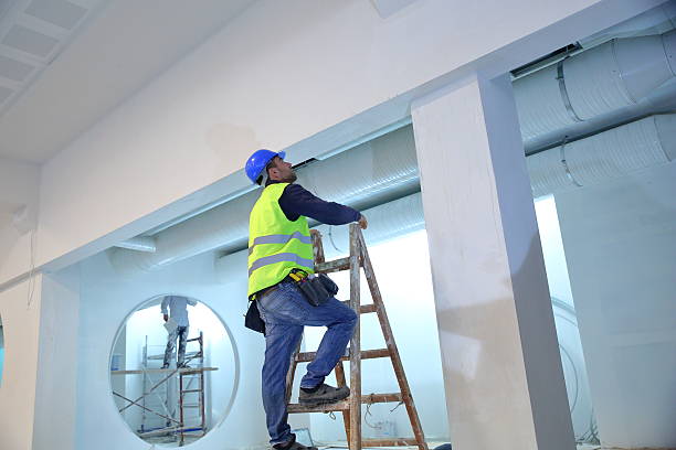 Trusted Waverly, NY Mold Removal Experts