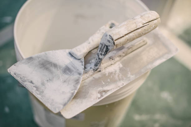 Best Mold Remediation for Healthcare Facilities  in Waverly, NY